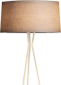 lamp image